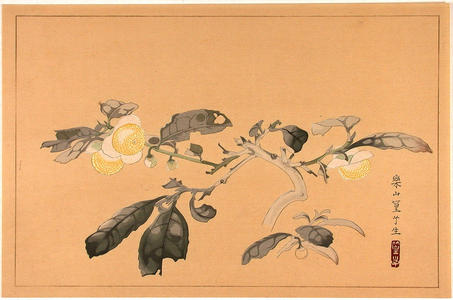 Rakusan Tsuchiya: Flower on branch - Japanese Art Open Database