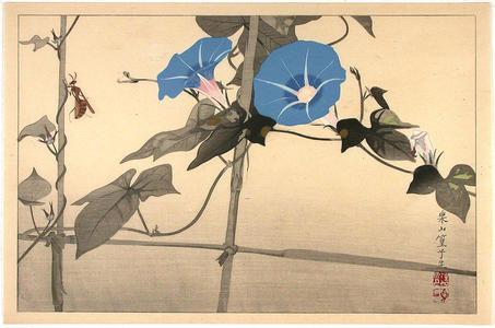 Rakusan Tsuchiya: Insect with flowers - Japanese Art Open Database