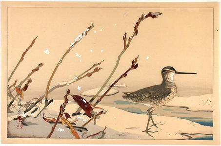 Rakusan Tsuchiya: Bird on seashore - Japanese Art Open Database
