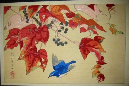 Rakusan Tsuchiya: Blue Bird and Wild Grape Vine - Japanese Art Open Database