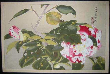 Rakusan Tsuchiya: Camellias - Japanese Art Open Database