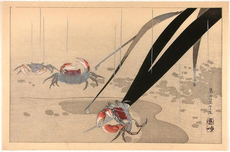 Rakusan Tsuchiya: Crabs in shallow water - Japanese Art Open Database