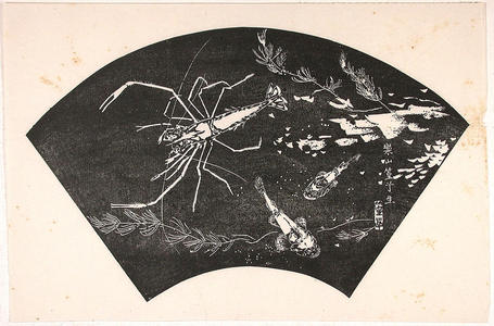 Rakusan Tsuchiya: Fan print- shrimp and fish - Japanese Art Open Database
