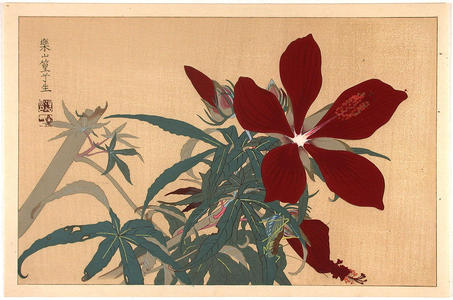Rakusan Tsuchiya: Flowers - Japanese Art Open Database