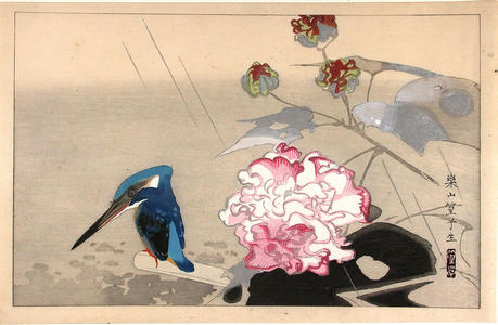 Rakusan Tsuchiya: Kingfisher in the rain - Japanese Art Open Database