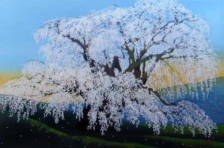 Sano Seiji: Three Spring Months- Waterfall Sakura — 三春瀧櫻 - Japanese Art Open Database