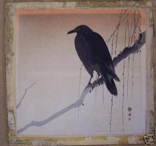 静湖: Crow on branch - Japanese Art Open Database