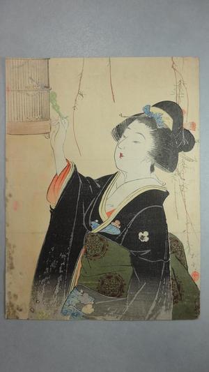 Shimazaki Ryuu: Java Sparrow — 文鳥 - Japanese Art Open Database