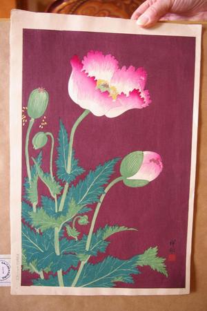 Shoseki: Flower print 1 - Japanese Art Open Database