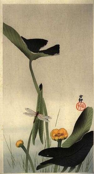 Shoson Ohara: A Dragonfly resting on a Lotus stem - Japanese Art Open Database