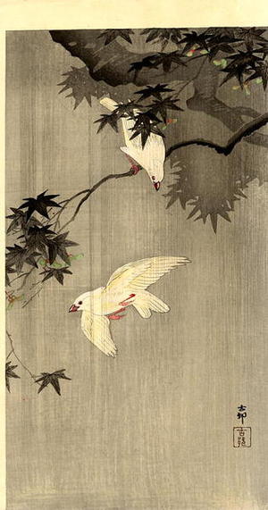 Shoson Ohara: Birds of Paradise - Japanese Art Open Database