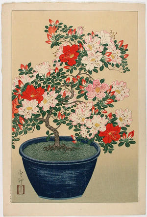 Shoson Ohara: Bonsai azelia - Japanese Art Open Database