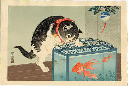 Japanese Print "Cat and Bowl of Goldfish" by Shoson Ohara (Shoson Ohara (1877-1945)- Koson (小原祥邨、小原古邨))