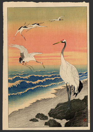 Shoson Ohara: Cranes on the seashore - Japanese Art Open Database