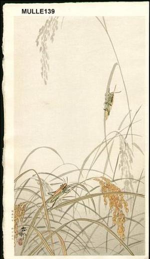 Shoson Ohara: Crickets In Rice - Japanese Art Open Database