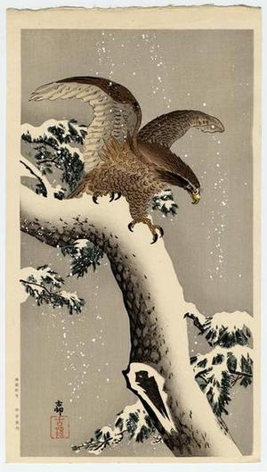 Shoson Ohara: Eagle on snowy tree bough - Japanese Art Open Database