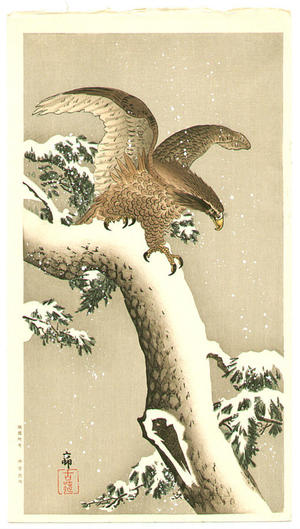 Shoson Ohara: Eagle on snowy tree bough - Japanese Art Open Database