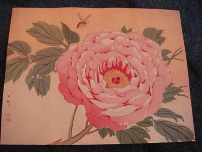 Shoson Ohara: Flower and Bee - Japanese Art Open Database
