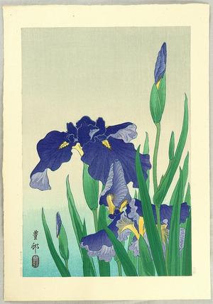 Shoson Ohara: Flowering Iris - Japanese Art Open Database
