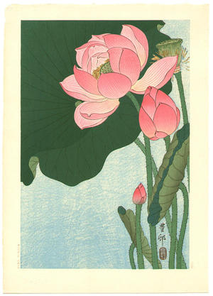 Shoson Ohara: Flowering Lotus - Japanese Art Open Database