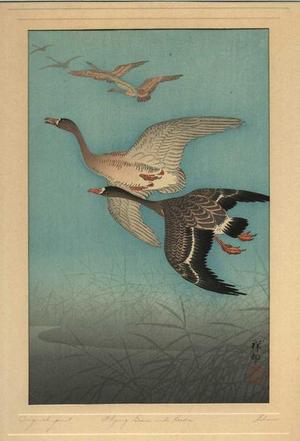 Shoson Ohara: Flying Geese and Reeds - Japanese Art Open Database