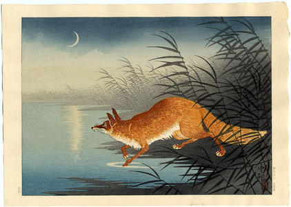 Shoson Ohara: Fox in the Reeds - Japanese Art Open Database