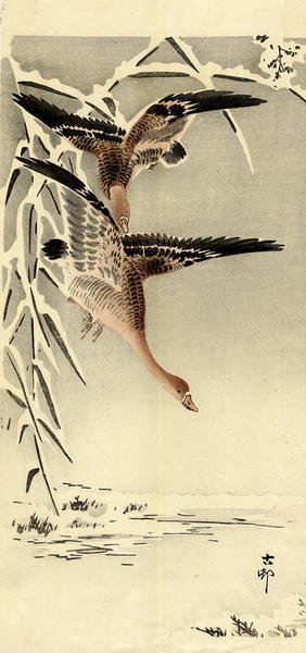 Shoson Ohara: Geese in Snow - Japanese Art Open Database