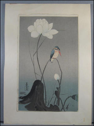 Shoson Ohara: Kingfisher and flower - Japanese Art Open Database