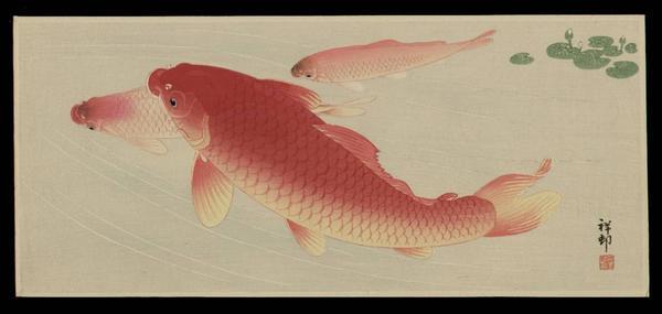 Shoson Ohara: Koi Carp 2 - Japanese Art Open Database