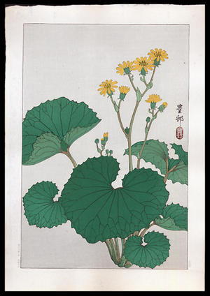Shoson Ohara: Ligularia - Japanese Art Open Database
