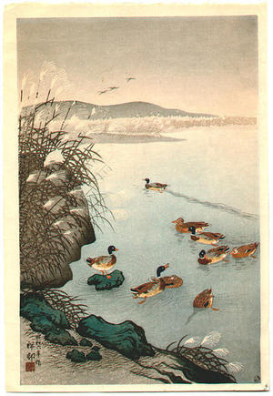 Shoson Ohara: Mallard Ducks in Coastal Scene - Japanese Art Open Database