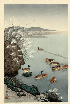 Shoson Ohara: Mallard Ducks in Coastal Scene - Japanese Art Open Database