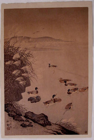 Shoson Ohara: Mallard Ducks in Coastal Scene - Japanese Art Open Database