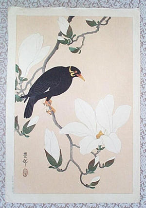 Shoson Ohara: Myna bird- Indian Hill Minor and Magnolia - Japanese Art Open Database