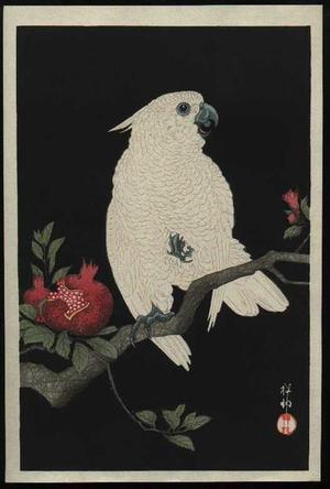 Shoson Ohara: Parrot and Pomegranate- Cockatoo - Japanese Art Open Database