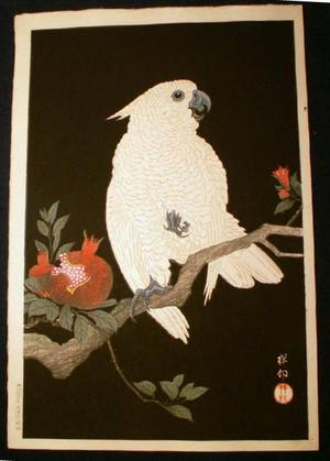 Shoson Ohara: Parrot and Pomegranate- Cockatoo - Japanese Art Open Database