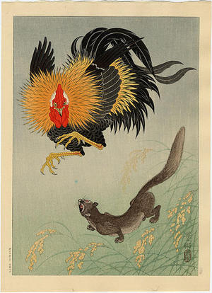 Shoson Ohara: Rooster and Weasel - Japanese Art Open Database