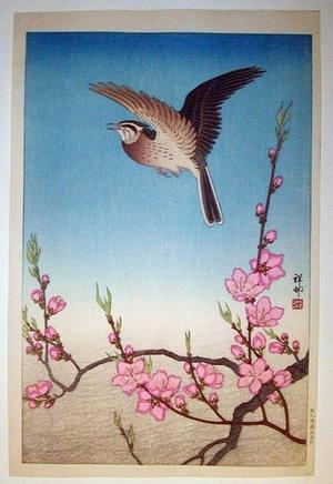 Shoson Ohara: Skylark Above Blossoming Peach - Japanese Art Open Database