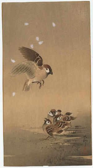Shoson Ohara: Sparrow and chicks - Japanese Art Open Database