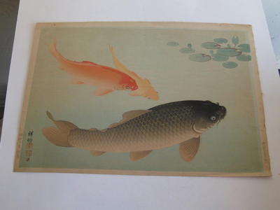 Japanese Print "Three Carp" by Shoson Ohara (Shoson Ohara (1877-1945)- Koson (小原祥邨、小原古邨))