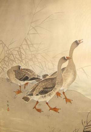 Shoson Ohara: Three Geese - Japanese Art Open Database