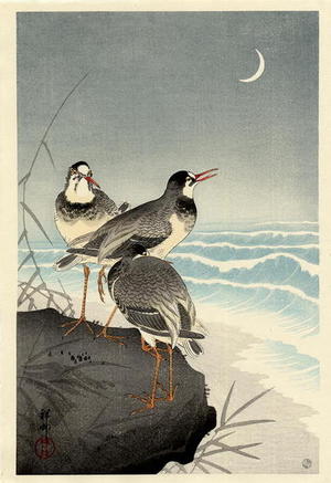 Shoson Ohara: Three Plovers - Japanese Art Open Database