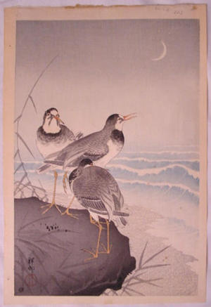 Shoson Ohara: Three Plovers - Japanese Art Open Database