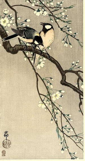 Shoson Ohara: Tits on Cherry Branch - Japanese Art Open Database