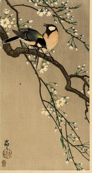 Shoson Ohara: Tits on Cherry Branch - Japanese Art Open Database