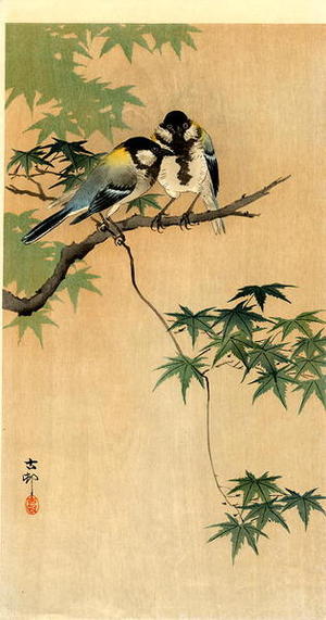 Shoson Ohara: Tits on Maple - Japanese Art Open Database