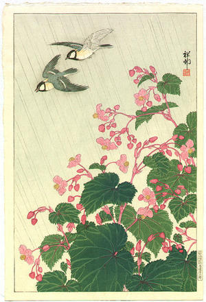 Shoson Ohara: Two Birds and Begonia in Rain - Japanese Art Open Database
