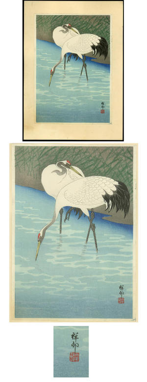 Shoson Ohara: Two Herons feeding in the marshes - Japanese Art Open Database