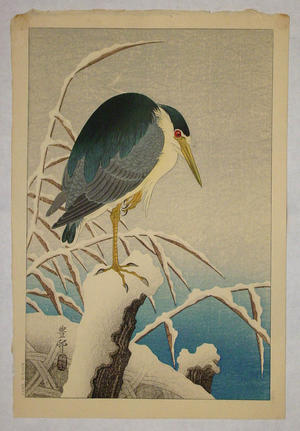 Shoson Ohara: Unknown bird - Japanese Art Open Database