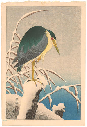 Shoson Ohara: Unknown bird - Japanese Art Open Database
